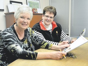 Karen Kirkwood-Whyte, left, and Helen Heath, right, are the CEO and Director of Community Impact respectively for United Way of Chatham-Kent. They want to put United Way back on track, after the organization missed its 2015-2016 fundraising goal.