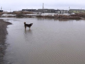 Attawapiskat and Kashechewan are under a state of emergency after sewage system failures have displaced multiple hundreds of people in both communities. Seen here is flooding in the community of Attawapiskat. (FACEBOOK PHOTO — ROSIE KOOSTACHIN, VIA MP CHARLIE ANGUS' FACEBOOK PAGE)
