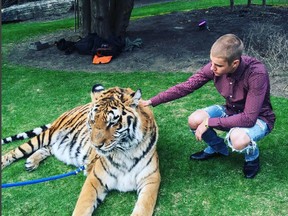 This picture was posted to Justin Bieber's Instagram account on May 1, 2016. PETA says the tiger is from the Bowmanville Zoo. (@justinbieber/Instagram)