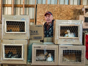 The Oxford-on-Rideau Bird Club’s spring bird auction, held on April 30, 2016 at the South Mountain fairgrounds. Bruce Deachman/Postmedia