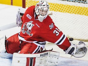 Niagara IceDogs goalie Alex Nedeljkovic makes a save against the Ottawa 67?s in an OHL game on March 26 in St. Catharines. He?ll play in his first OHL final, starting Thursday, against the London Knights. (Bob Tymczyszyn/Postmedia News)
