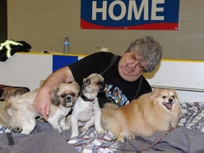 Dale Kossey with his three dogs Elmo, Gizmo, and Lacey, rests in the pet owners' area of the reception centre at an evacuee reception centre set up and operated by the regional municipality of Wood Buffalo in nearby Anzac, Alta., on Wednesday, May 4, 2016. (Greg Halinda photo)