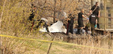Police personnel cover a body found behind Grant's Old Mill on Portage Avenue in Winnipeg on Wed., May 4, 2016. Cathy Curtis, 60, disappeared after leaving nearby Grace Hospital on April 25. Kevin King/Winnipeg Sun/Postmedia Network