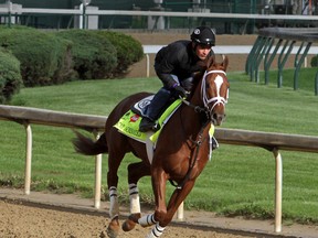 Oscar Nominated, being taken for a workout Wednesday at Churchill Downs, is more of a turf runner, hence the 50-1 odds. (Garry Jones, AP)