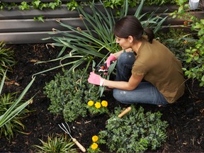 Get out in the garden
You don't have to be retired to enjoy gardening. Take to the task with vigor and this outdoor activity can burn calories and work up a sweat. Mowing the lawn, digging, turning soil, stacking logs, weeding and raking leaves can burn as much as 400 calories per hour. For city dwellers, why not sign up to one of the shared allotments or community garden projects that are springing up in towns and cities? This can be a great way to relax and take a breather from urban life.