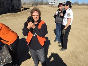 Puppies rescued from Whitefish Lake are ready to be transported to the Edmonton Humane Society. The Pet Food Bank of Parkland County organized the rescue with the humane society, bringing back 21 cats and 30 dogs for adoption. - Photo submitted