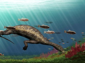 Life restoration of Atopodentatus (the "hammerhead") is shown in this image released May 6, 2016. Scientists on Friday announced the discovery in southern China of new fossils of a reptile from 242 million years ago called Atopodentatus that clarify the nature of this strange crocodile-sized, plant-eating sea-dweller. Courtesy Y. Chen/IVPP/Handout via REUTERS