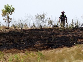 A burn ban is in place for all of Ottawa after firefighters were called to four separate brush and grass fires on Friday. File Photo