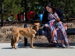 Wildfire evacuee Melissa Broughton gives a drink of water to her sister's dog Bailey at the Edmonton Evacuation Centre at the Edmonton Expo Centre, in Edmonton Alta. on Friday May 6, 2016. Photo by David Bloom