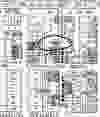 The trio of buildings numbered 756, 758 and 760 St. (circled) appear for the first time on this Goads Atlas dated 1903. They are on the west side of Bathurst St. directly south of the open space south of Bloor St. The original Honest Ed's store was in a large house at the southeast corner of Bloor and Markham streets, still empty lots in 1903.