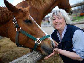 Tanya Boyd gives rescued horse Amber a treat.