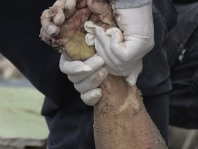 (RODRIGO BUENDIA/Stringer/AFP file photo)