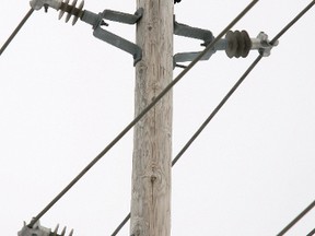 A large crow sits on top of a hydro pole at Sheffield Road. (MIke Carroccetto/Postmedia Network)