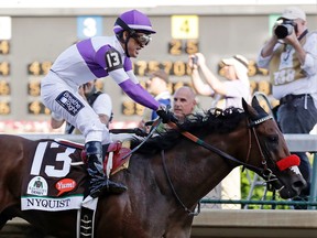 Mario Gutierrez celebrates after riding Nyquist to victory during the 142nd running of the Kentucky Derby. (AP Photo/Garry Jones)