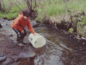 The Junction Creek Stewardship Committee is inviting the public to attend their annual Junction Creek Festival on Saturday, May 14th from 11-1pm at the Twin Forks Playground on Gary Avenue. Supplied photo
