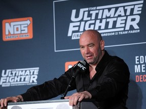 UFC president Dana White speaks to the media at The Chelsea at The Cosmopolitan in Las Vegas. (Gary A. Vasquez/USA TODAY Sports)