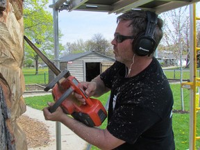 Mike Winia, a wood carver from London, works on a carving in a stump in the garden at Lansdowne Public School on Wednesday May 11, 2016 in Sarnia, Ont. Students at the elementary school helped raise money for the carving project that was also supported by a $1,000 grant from the Awesome Foundation of Sarnia.
 Paul Morden/Sarnia Observer/Postmedia Network