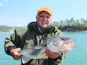 Emmerson Dober with a fit-for-a-king North Saskatchewan River walleye. Neil Waugh