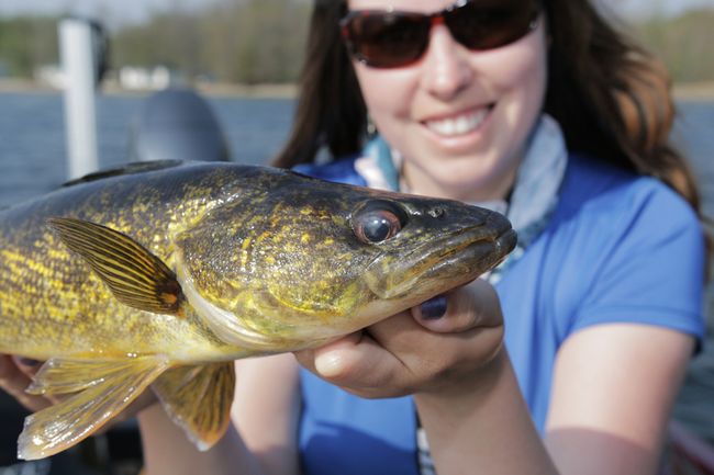Techniques for targeting walleye in the spring