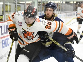 Spruce Grove Saints' Macklin Pichonsky takes Lloydminster Bobcats' Nick Quillan into the boards during a playoff game last month in Lloydminster, Sask. (Tyler Marr)
