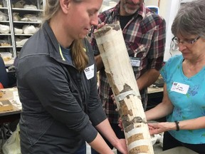 Jessi Halligan, left, and fellow researchers hold the partially reassembled mastodon tusk from the Page-Ladson site. (Brendan Fenerty/HANDOUT)