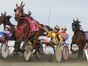 Harness driver Trevor Henry (yellow) has had at least 201 wins every year since 2001. (Michael Burns/Photo)