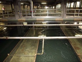 File photo of the filtration beds at the Lemieux Island Water Purification Plant. Julie Oliver.