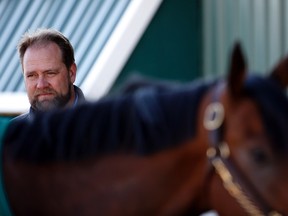 Horse trainer Doug O'Neill looks on as Kentucky Derby winner Nyquist receives a bath in the stables after a training session for the 141st Preakness Stakes at Pimlico Race Course May 16, 2016 in Baltimore.(Geoff Burke-USA TODAY Sports)