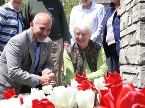 Jason Miller/The Intelligencer
Mayor Taso Christopher admires a garden of tulips with Dutch native Yolande Fellows. City officials gathered Tuesday to mark one of the first acts of solidarity between Canada and Holland.