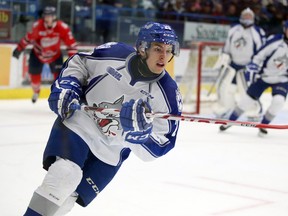 Gino Donato/Sudbury Starfile photo
Sudbury Wolves prospect Shane Bulitka plays as a callup against the Oshawa Generals on Dec. 6, 2015.