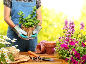 There is nothing more frustrating than planting a bunch of seeds and nothing happens, but there are ways to check out a vegetable or flower seed's viability.