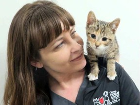Crystal, a Humane Society vet technician, with Daisy, one of two kittens rescued from zip-tied box in a Kanata dumpster. Daisy's brother later died of infection. HUMANE SOCIETY