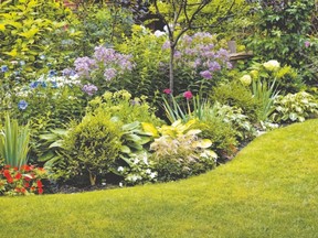 Lush landscaped garden (File photo)