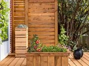 Use of pressure-treated wood for containers means no toxins will leach into your soil.