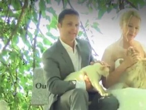 Canadians Louise Veronneau and Dominic Husson wed at The Cat House on the Kings, a 12-acre plot of land in California surrounded by a cat-proof fence and considered the largest kitty sanctuary in the U.S. (Washington Post screengrab)