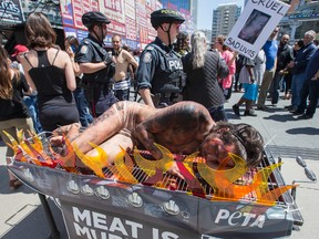 A PETA protester lies on a human BBQ as part of PETA's protest at Ribfest on Friday May 20, 2016. Craig Robertson/Toronto Sun/Postmedia Network
