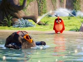 The Angry Birds Movie (Sony Pictures)