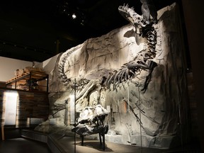 The new Foundations exhibit at the Royal Tyrrell Museum, opened May 20, 2016.