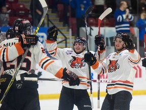 The Lloydminster Bobcats celebrate Saturday's 6-2 win over the Trenton Golden Hawks to move on to Sunday's 2016 RBC Cup final at Lloydminster's Centennial Civic Centre. (Tyler Marr)