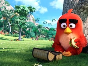 "The Angry Birds Movie." (Supplied)