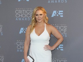 Amy Schumer. (Adriana M. Barraza/WENN.COM)