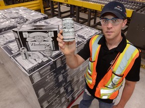 Terry Drew, site logistics manager at Labatt Brewery in London  shows a can of Budweiser Prohibition Brew, a new non-alcoholic beer made with the same ingredients as regular Budweiser. (MORRIS LAMONT, The London Free Press)
