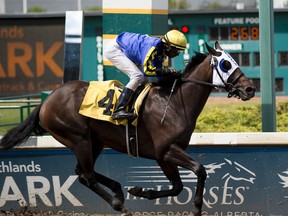 Blue Dancer, who won the Western Canada feature last year, will be running in hte annual Journal feature this weekend. (Greg Southam)