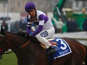 Jockey Mario Gutierrez's ride on Nyquist in the Preakness Stakes on May 21, 2016, drew harsh words from respected handicapper Andy Beyer. (GEOFF BURKE/USA Today Sports)