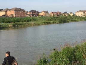 Peel Regional Police search for a baby alligator reportedly seen in Brampton May 26, 2016. (@PeelPoliceMedia)