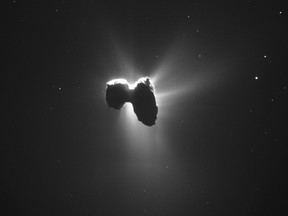 In this March 27, 2016 photo released by the European Space Agency ESA Comet 67P/Churyumov-Gerasimenko and its coma are backlit by the sun. The photo was taken by the NavCam of the Rosetta space probe from a distance of 329 km from the nucleus. Scientists say they have detected glycine and phosphorus in the dusty envelope around a comet, supporting the theory that comets 'delivered' key chemicals necessary for the emergence of life on Earth. (ESA/Rosetta/NavCam via AP)