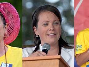 Guest speakers and torch bearers at Tillsonburg's Relay for Life from 2009, 2011, 2013, 2014 and 2015. (CHRIS ABBOTT/FILE PHOTOS)
