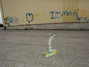 Some of the current graffiti that's been plastered on the Everspring Farms Ltd. wall in Seaforth. (Shaun Gregory/Huron Expositor)