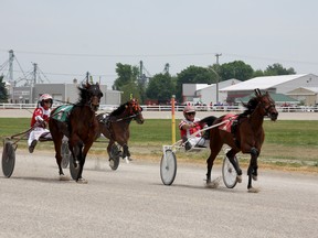 The Dresden Raceway had a good turnout for its opening day of the harness racing season Sunday. The track has 11 racing dates this year. (Trevor Terfloth/The Daily News)