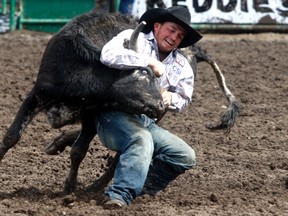 Russell Cardoza, of Terrebonne, Oregon, competes in steer wrestling at the 39th annual Grande Prairie Stompede on Saturday at Evergreen Park in the County of Grande Prairie. Logan Clow/Grande Prairie Daily Herald-Tribune